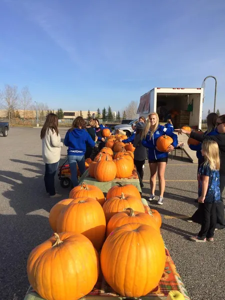 Michelle's Market Calgary