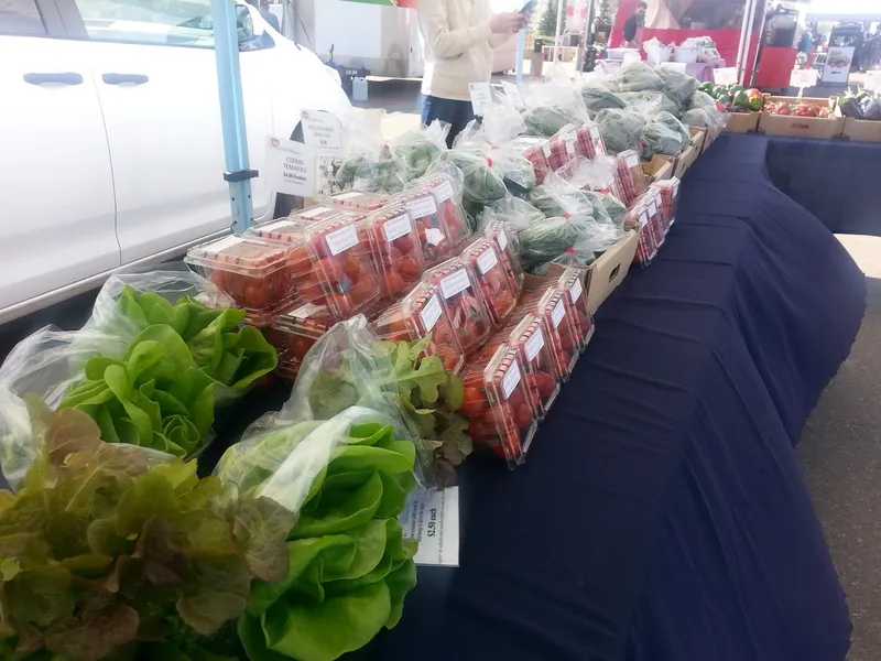 South Common Farmers Market