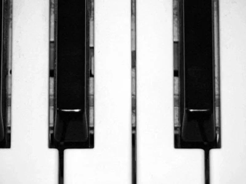 Groove Academy - School of Music