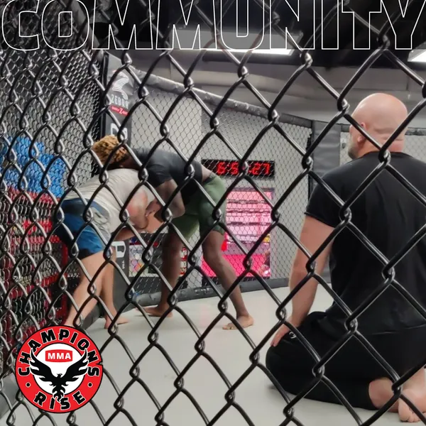 Champions Rise MMA Training Program