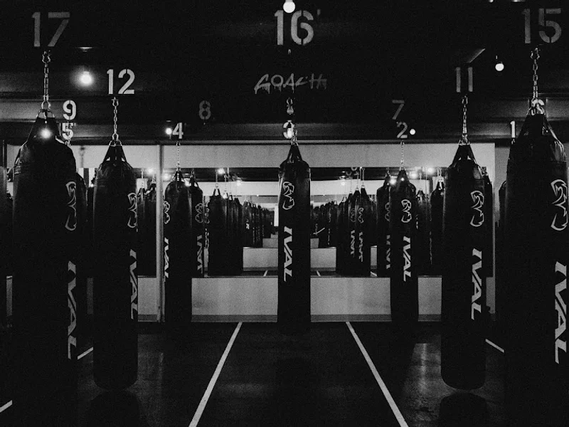 Sweat Science Boxing