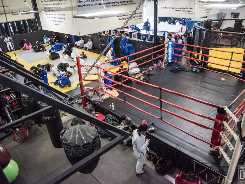 REVMMA—Revolution MMA Gym & Fitness Inc