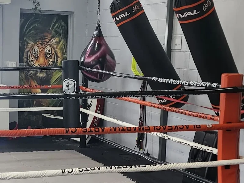 Black Eagle Martial Arts and Sports Performance Center