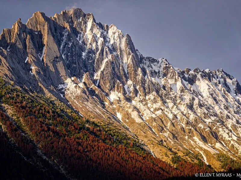 Total Advantage Travel & Tours Inc