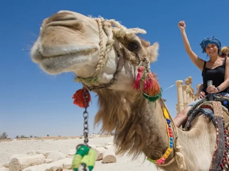 Travel Discounters / Platinum Holidays