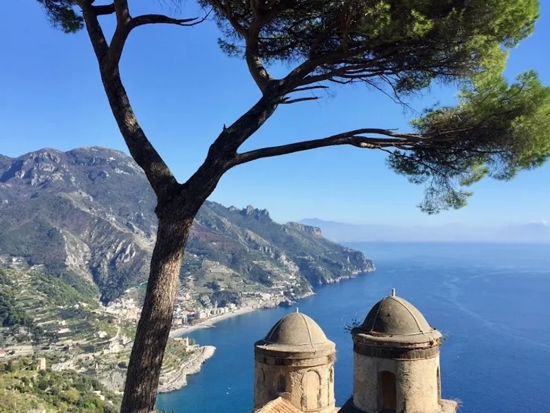 Little Travel Consultant