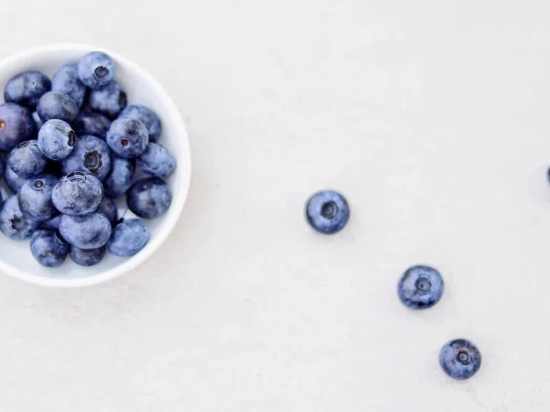 Dayna Zarn Nutrition