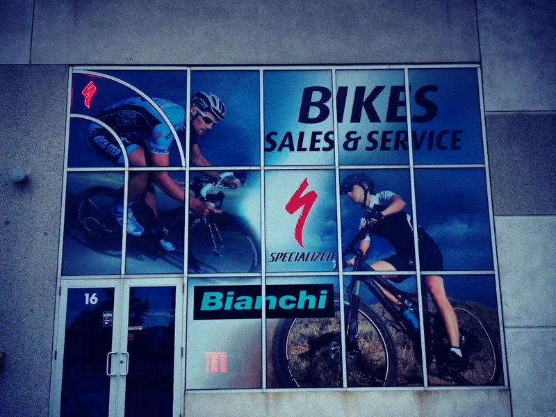 All The Right Gears the Bicycle Specialists