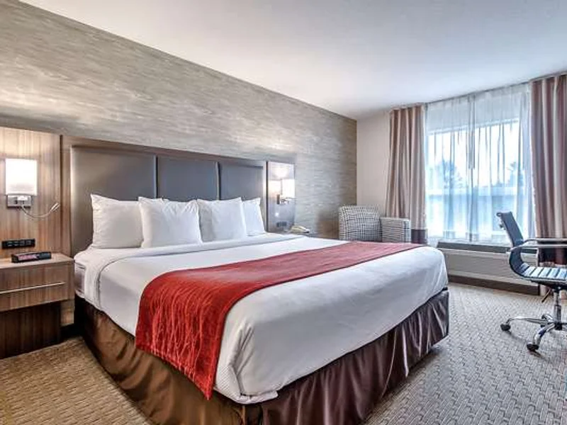 Comfort Inn & Suites South