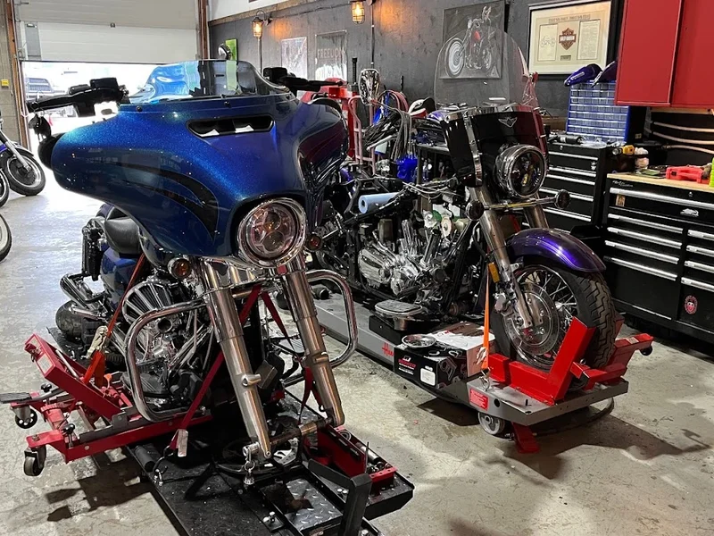 Unleashed Cycle & Sled