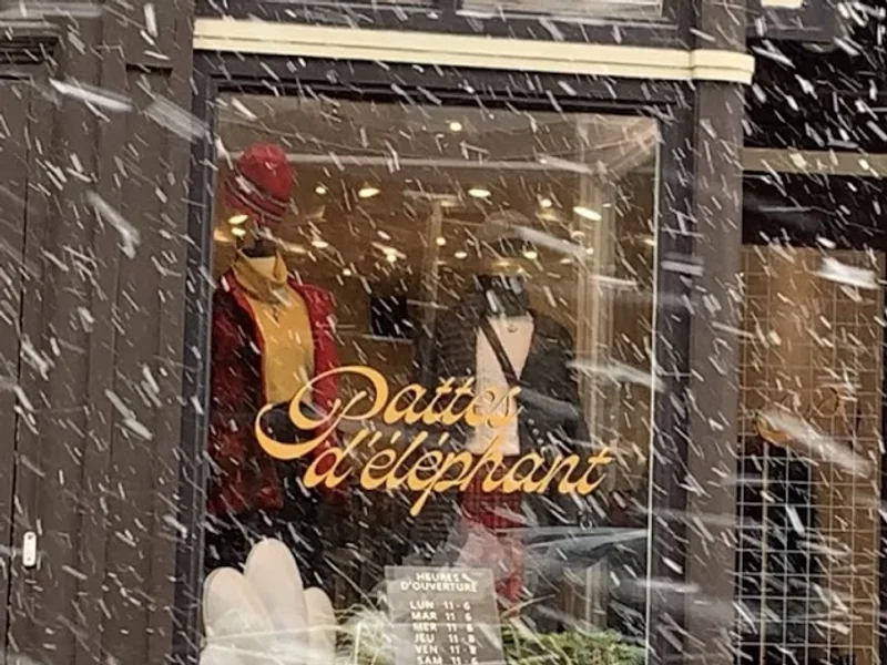 Pattes d’éléphant