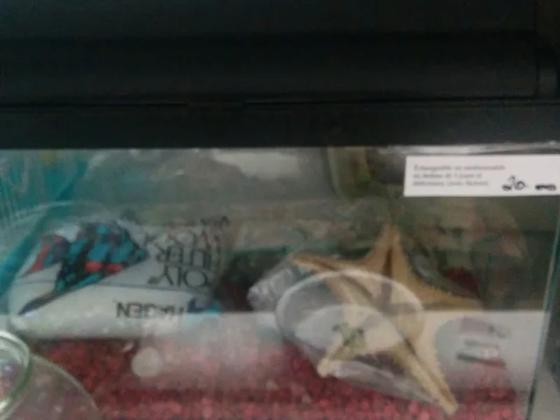 La Ressourcerie de Lac-St-Charles