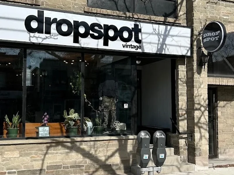 Drop Spot Vintage