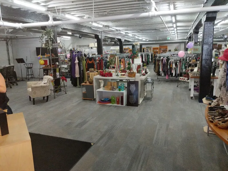 Revive and Thrive Thrift Wholesale