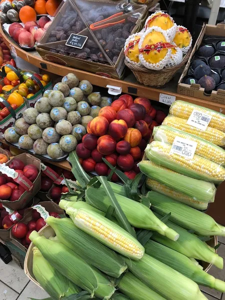 Fresh Harvest