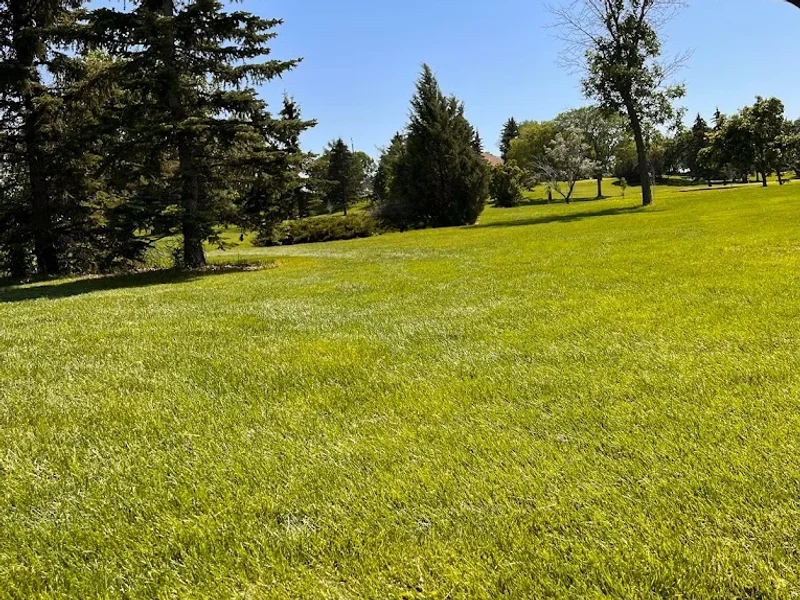 Rundle Park Golf Course