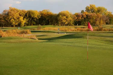 Top 11 golf courses in Winnipeg