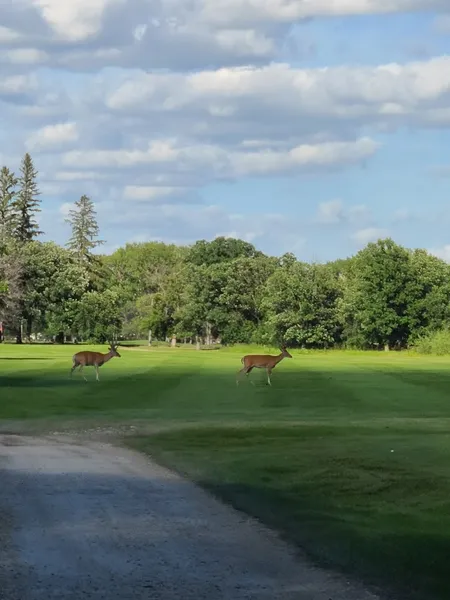 Tuxedo Golf Club