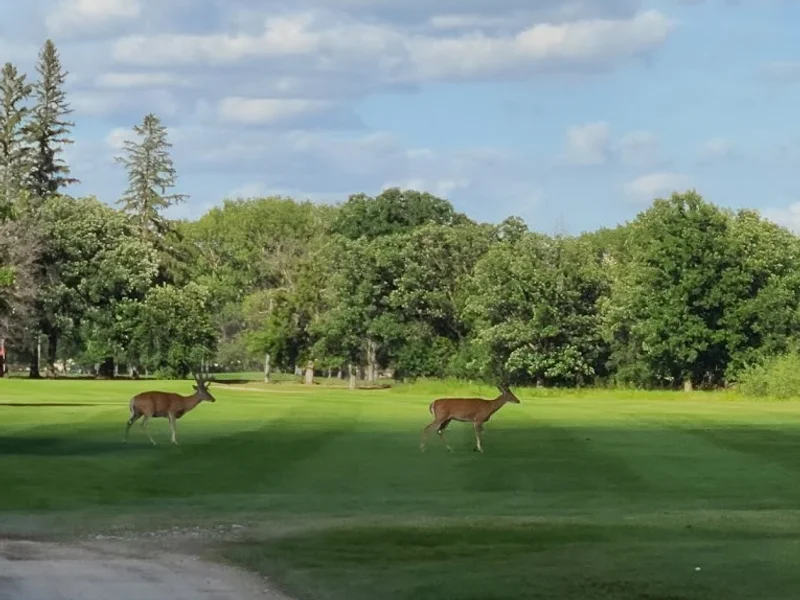 Tuxedo Golf Club