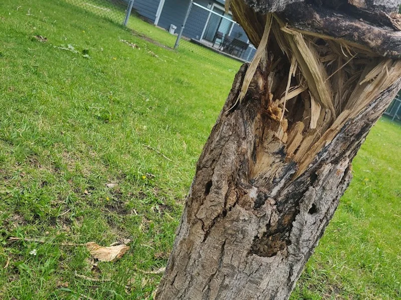 Centre Street Church