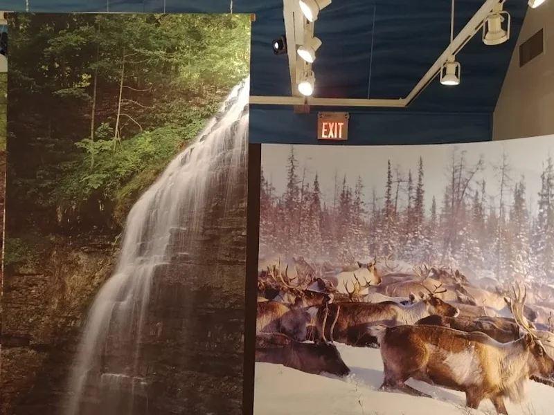 Fieldcote Memorial Park & Museum