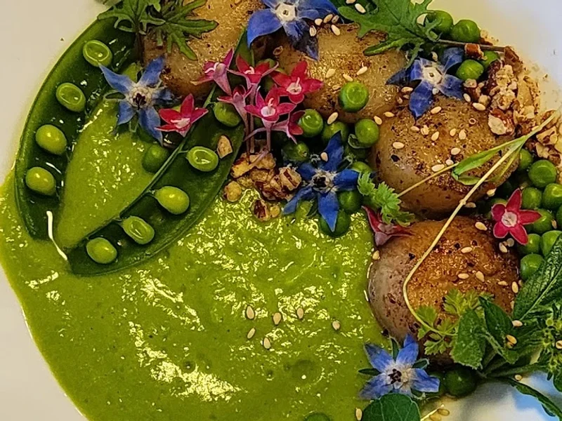 Holistic Urban Farmer