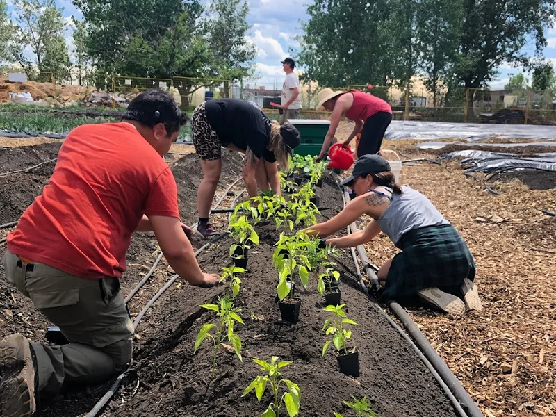 Highfield Regenerative Farm
