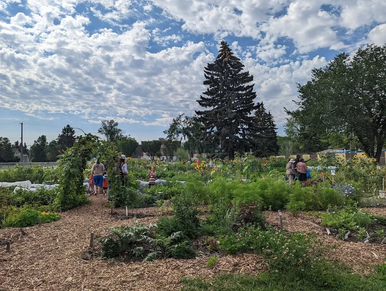 Edmonton Urban Farm