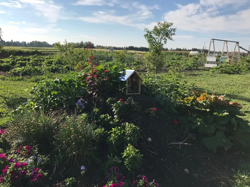 Prairie Urban Farm