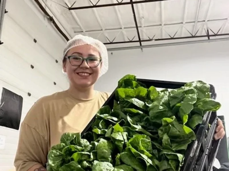 Vertical Roots Edmonton