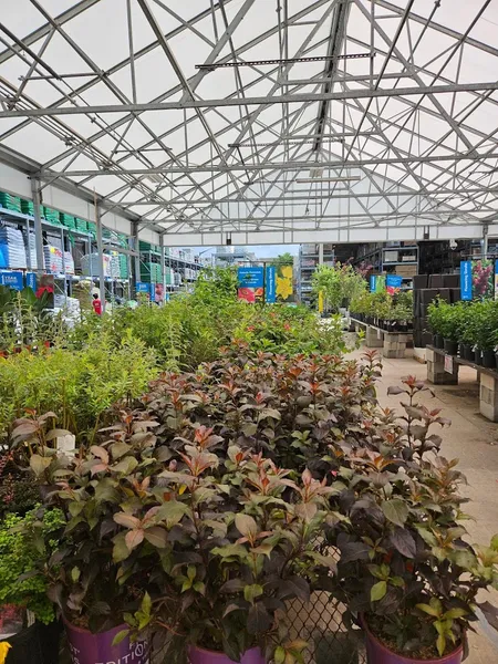 Garden Centre at Rona+