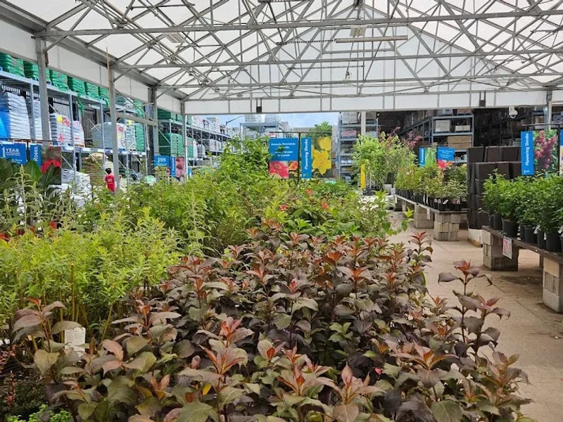 Garden Centre at Rona+