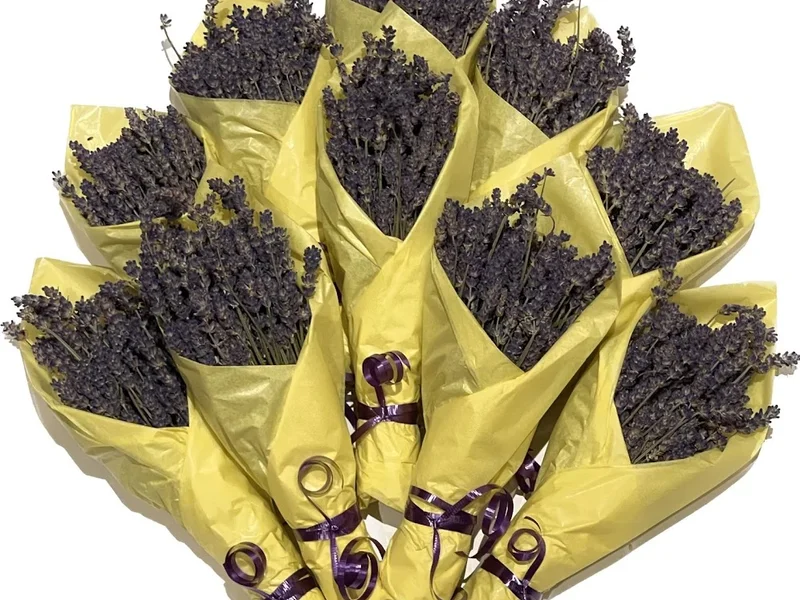 Fallwood Lavender Farm