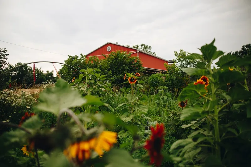 Manorun Organic Farm