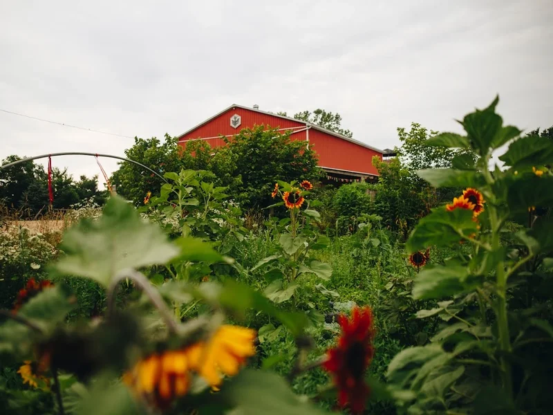 Manorun Organic Farm