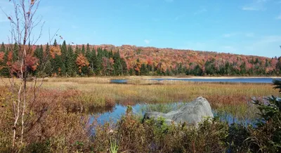 Best of 15 parks in Val-Bélair Quebec