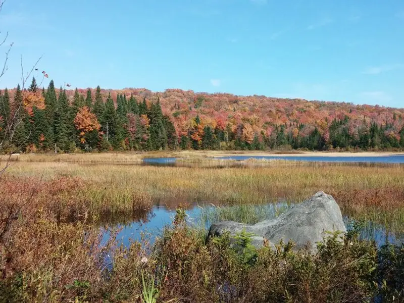 Base de plein air La Découverte