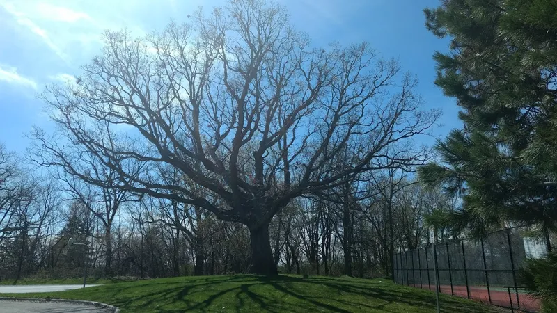 James Smith Park