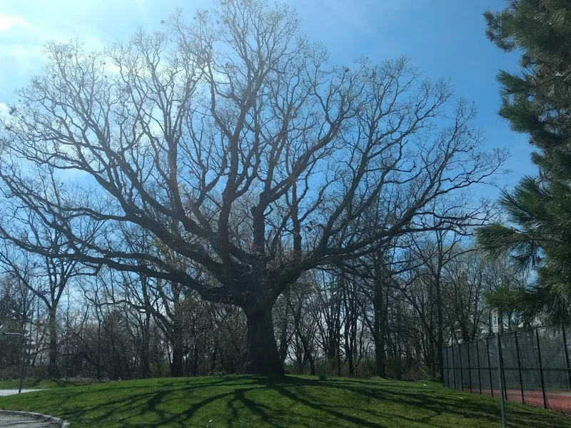 James Smith Park