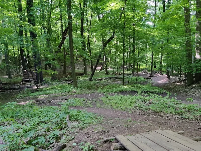 Robert E. Wade Ancaster Community Park
