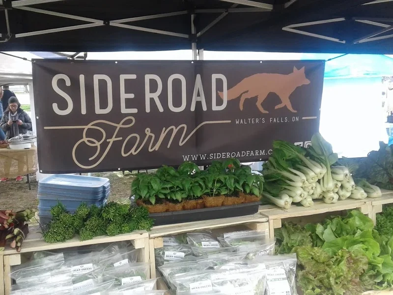 Davisville Farmers Market