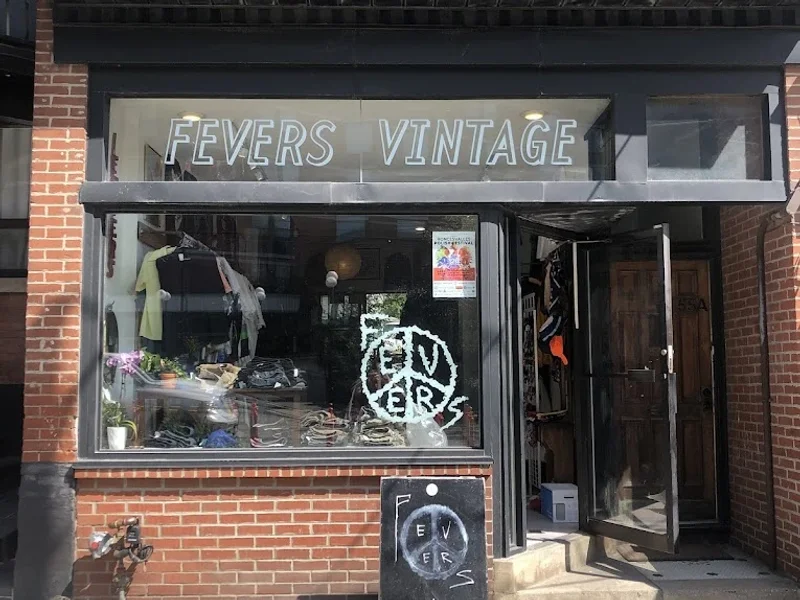 Fevers Vintage