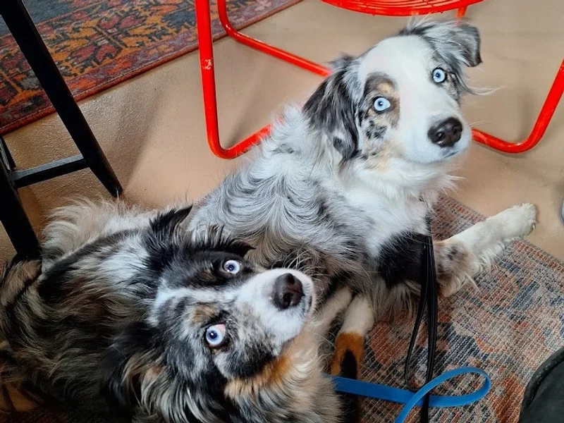 Stillwell Brewing Company