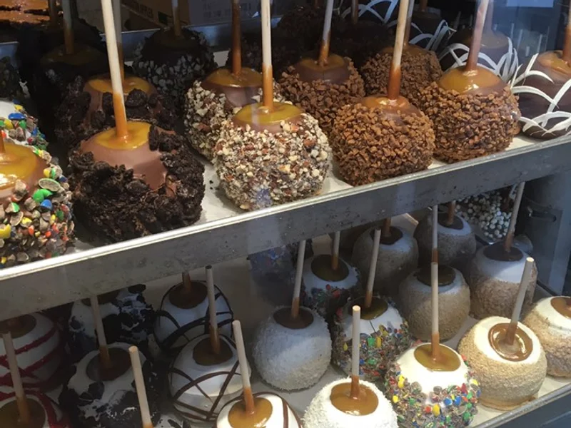 Rocky Mountain Chocolate Factory