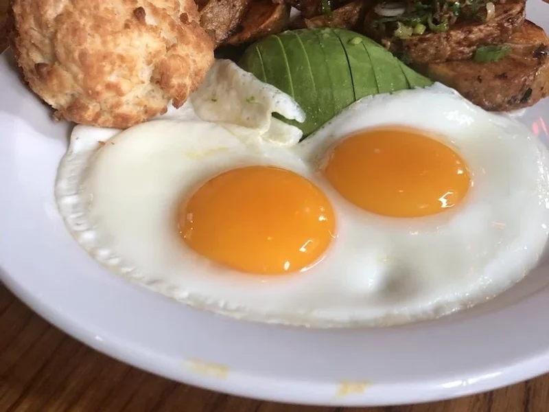 DICED Discovery Cafe