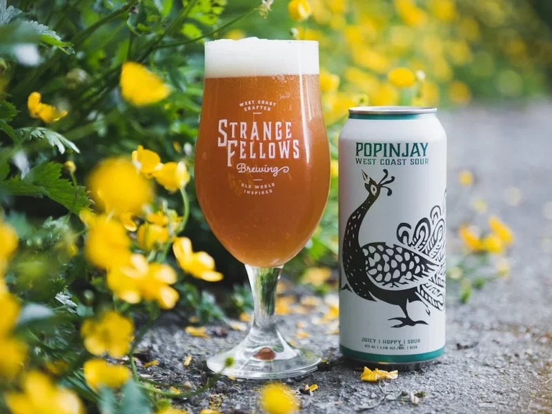 Strange Fellows Brewing