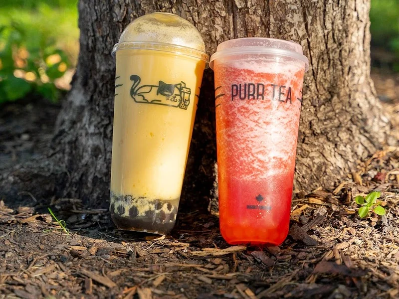 PurrTea Fresh Tea & Smoothie - Mount Royal Village