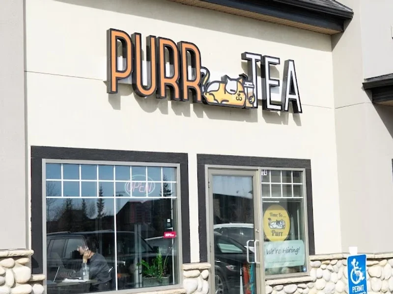 PurrTea Fresh Tea & Smoothie - West Market Square