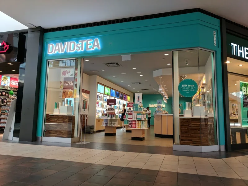 DAVIDsTEA - Lime Ridge