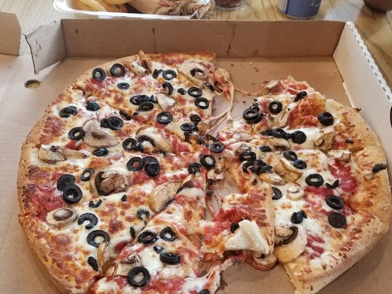 The Original Pizza Plus Inc.